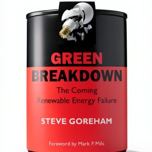 Energy Policy Guide New Lenox Books Kindle eBook with X‑Ray Word Wise-0