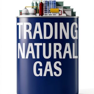 Oil & Energy Risk Management PennWell Books 2nd Edition 359 Pages-0