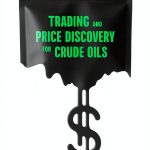 Energy Policy Kindle eBook by Palgrave Macmillan - 2021, Accessible-0