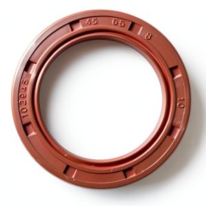 EAI 45mm x 65mm x 8mm FPM/FKM TC Double Lip Oil Seal Stainless Spring-0