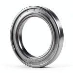 EAI Oil Seal 48mm x 62mm x 8mm TC Double Lip with Spring Metal Case-0